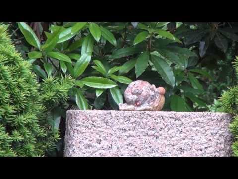 hamburg friedhof ohlsdorf  heinz erhard grabstelle remix