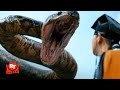 Anaconda Cursed Jungle 2024 Epic Snake Boat Attack 5 11 Movieclips
