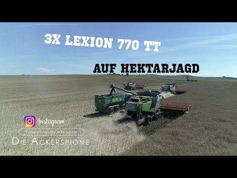 3x Lexion 770 TT auf Hektarjagd / Rapsernte 2020 bei Gut Panker