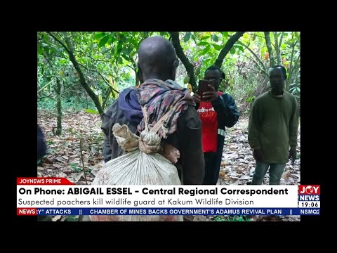 Suspected poachers kill wildlife guard at Kakum wlWildlife Division | JoyNews Prime