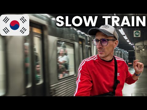 I Went From SEOUL to BUSAN (Cheap) 🇰🇷