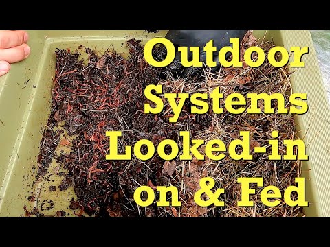 Outdoor systems fed after a week.. plus their past & future's discussed - worm farm vermicompost