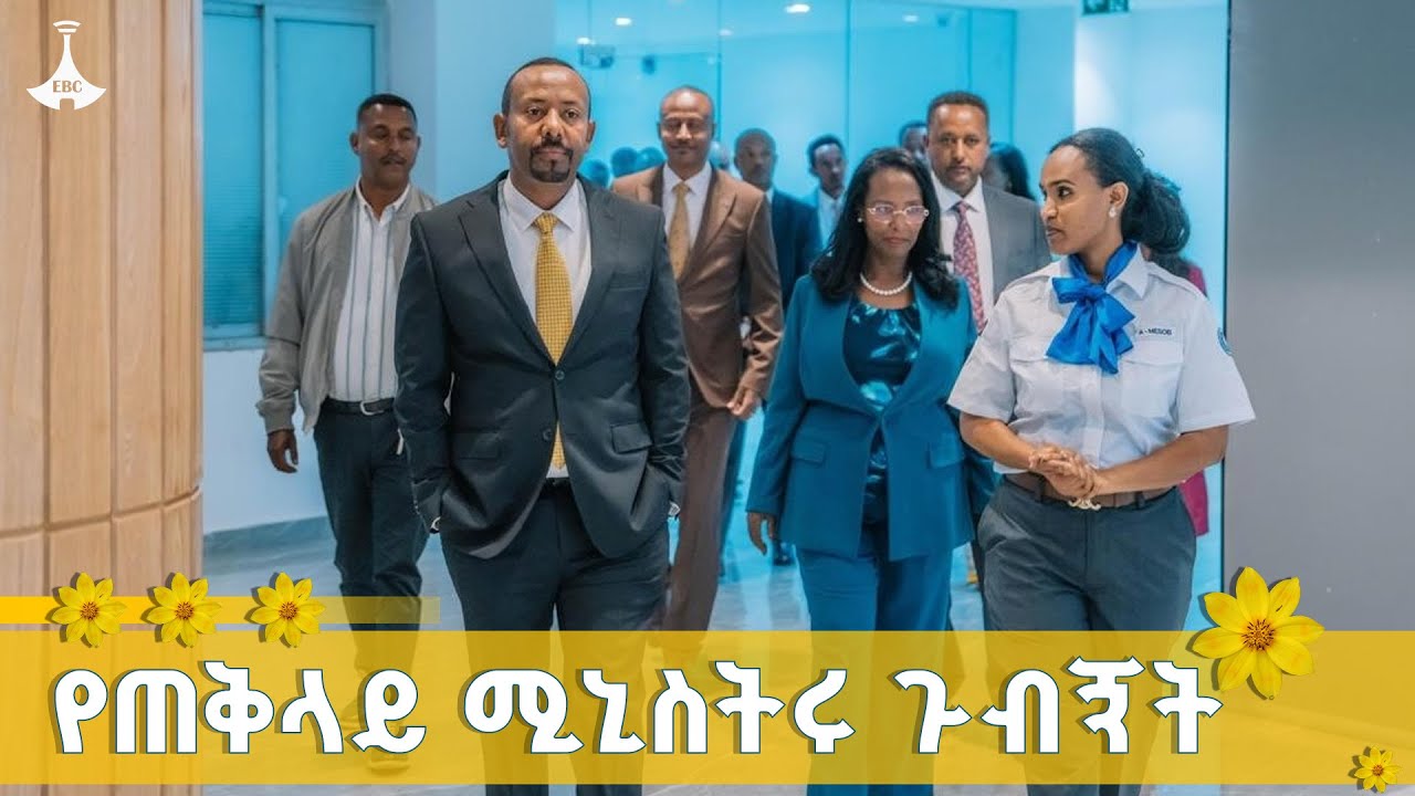 ጠቅላይ ሚኒስትር ዐቢይ አሕመድ (ዶ/ር) በአዲስ መሶብ የአንድ ማዕከል ያደረጉት ጉብኝት 