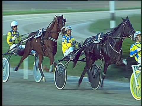 Trotto 14/10/2016 - 6ª corsa