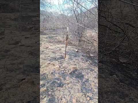 SERRA DO MACHÃO EM IRAUÇUBA