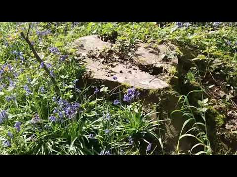 no more home, no more love