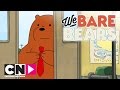 Wat Beren Leren | Kip en wafels | Cartoon Network