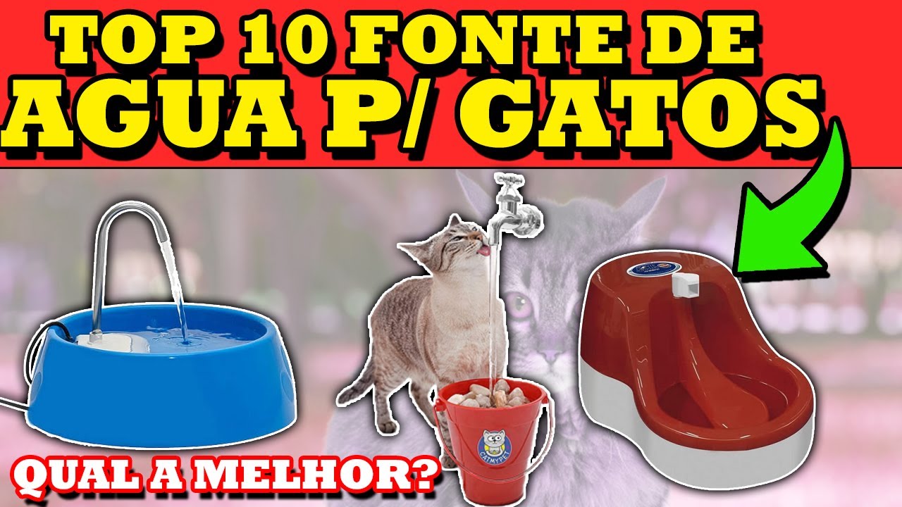 10 MELHORES FONTES DE ÁGUA PARA GATOS  - QUAL É O MELHOR BEBEDOURO DE GATINHOS EM 2021 - 110V 220V