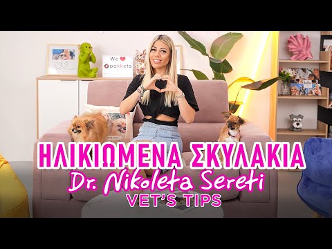 Dr. Nikoleta Sereti - Μαθαίνουμε για τα ηλικιωμένα σκυλάκια!