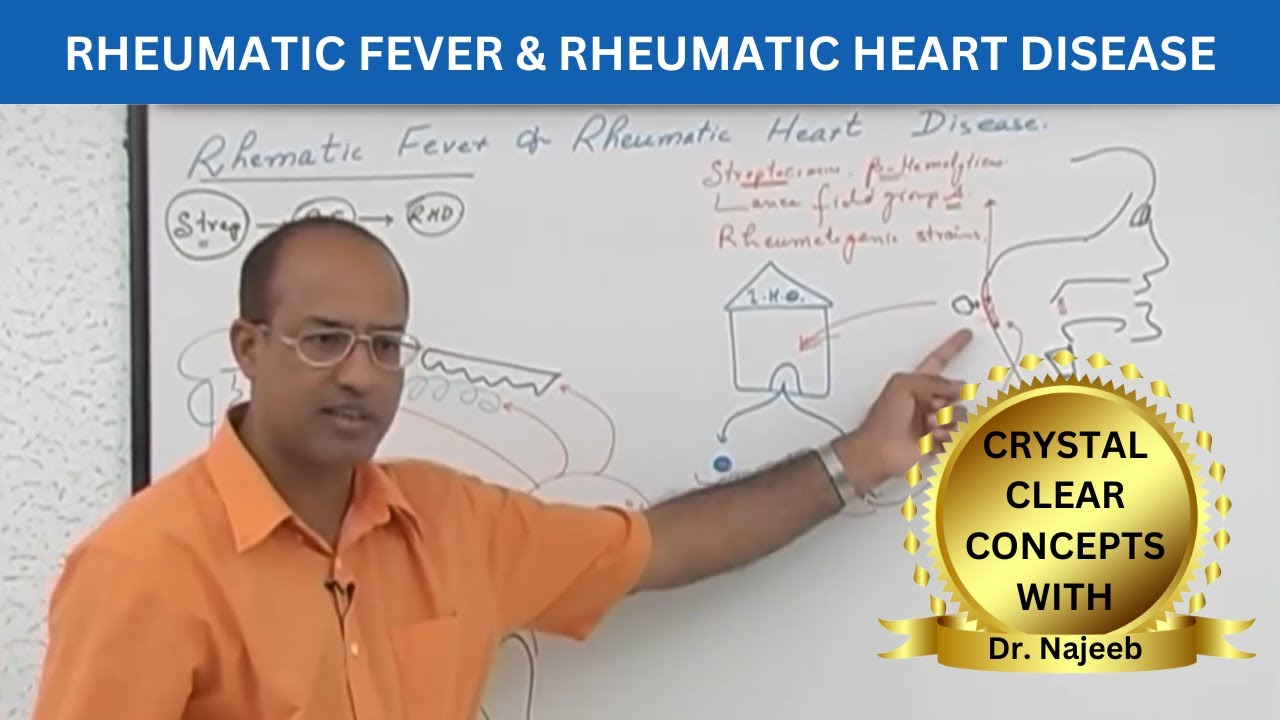 Pathogenesis of Rheumatic Fever | Rheumatic Heart Disease 🧑🏻‍⚕️
