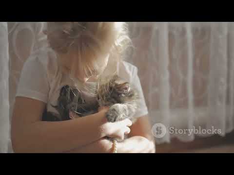 Never Shoo a Cat! 🐈