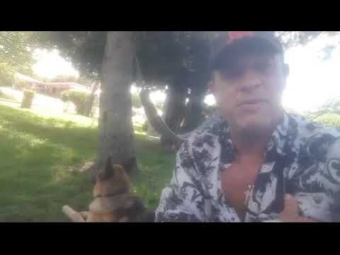 Saludos de Fernando kanapkis