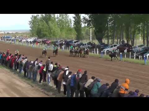 GRAN PETIZO  Club Hipico Cipriano Catriel  - Catriel  23-10- 2022