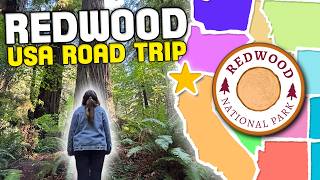 We Visited Redwood National Park | World's Tallest Trees and Scenic Drive