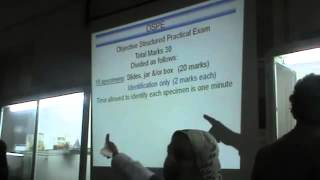 Dr Azza  Parasitology   Practical Revision 2nd Term   Part 1   YouTube