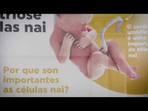 Vídeo: Trataremos a artrose e a endometriose con células nai