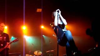 Teil von mir - Die Toten Hosen live