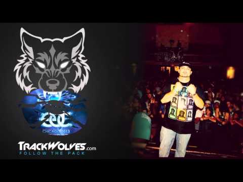 DJ Animale - Live @ Electric Daisy Carnival [EDC Chicago 2013] - 24.05.2013