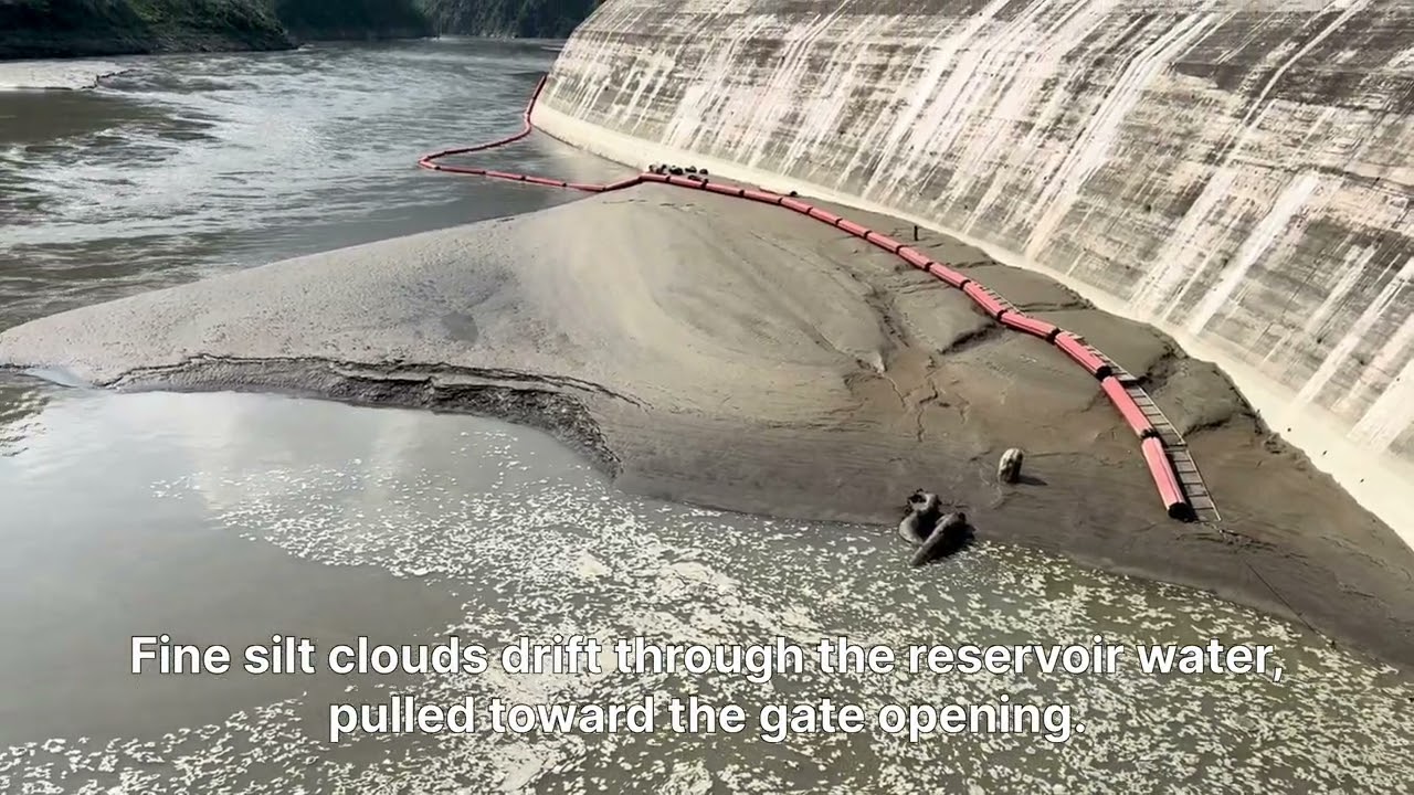 Dam Radial Gate Opening Triggers Silt Release and Sand Island Erosion