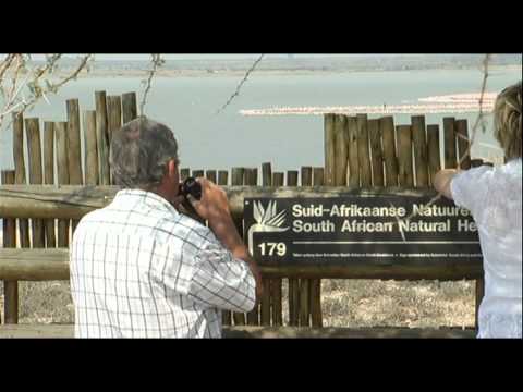 Thousand of Flamingos have returned to Kamfersdam outside Kimberley