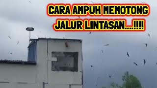 Download lagu LAKUKAN 4 hal Ini...‼️ Cara Menarik PERHATIAN burung WALET di Jalur Lintasan mp3 Download lagu LAKUKAN 4 hal Ini...‼️ Cara Menarik PERHATIAN burung WALET di Jalur Lintasan mp3