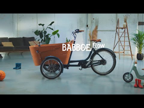 Triporteur électrique Babboe Flow-E - Vélo familial avec moteur GWA et pneus Schwalbe_3