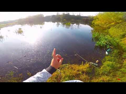 [Sopralluogo] Cava Collatina, tra roulotte, rovi e contadini