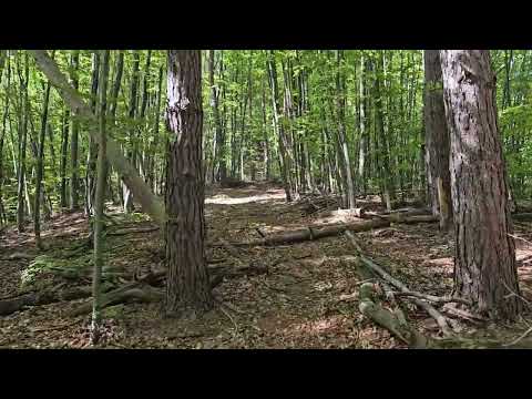 Piatra Cloșani - 1421 m, Parcul Natural Domogled - Valea Cernei