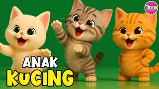 Download lagu Lagu Anak Anak - ANAK KUCING MEONG MEONG - Lagu Anak & Balita Paling Populer Sepanjang Masa Terbaru mp3 Download lagu Lagu Anak Anak - ANAK KUCING MEONG MEONG - Lagu Anak & Balita Paling Populer Sepanjang Masa Terbaru mp3