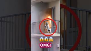 You won’t believe it #shorts #shortsfeed