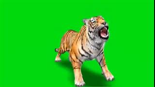 Download lagu New tiger || green screen lion || no copyright green screen video || download free mp3
