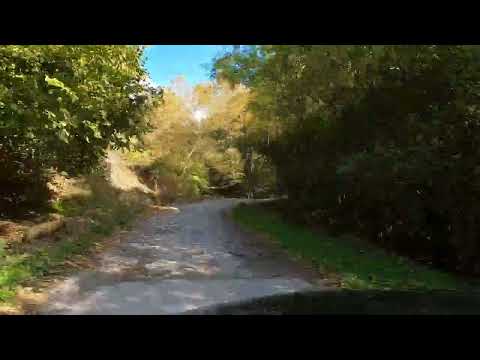 Bulgaria road trip. Slavyanka/Orvilos. Forest drive.