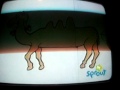SALLY THE CAMEL
