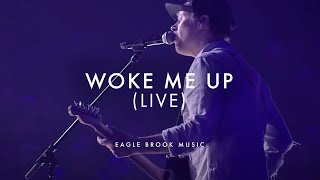 Woke Me Up (Live)
