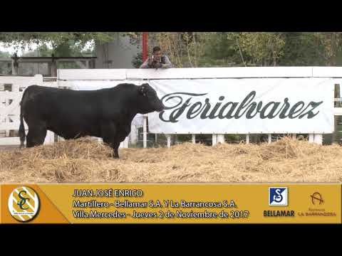 02-11-17 Nota Juan José Enrico - Bellamar S.A. y La Barrancosa S.A. - Villa Mercedes