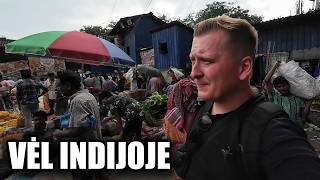 Nekenčiu Savęs, Todėl Grįžau į Indiją 🇮🇳