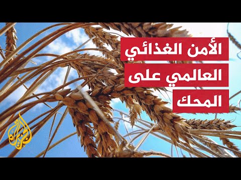 خبير أممي يحذر من مجاعة عالمية وشيكة بسبب حرب روسيا على أوكرانيا