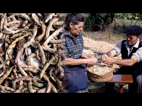 , title : 'Cultivo y siembra tradicional de legumbres: los boliches | Oficios Perdidos | Documental'