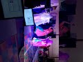 Rajputana Wedding Dance Kuve Par Aekli