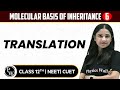 Molecular Basis of Inheritance 06 | Translation | Pure English | 12th / NEET/CUET