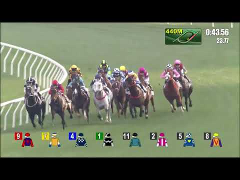 6/3/2022 (480) Flying Ace - Matthew Poon