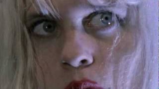 Babes In Toyland - &quot;Bruise Violet&quot;