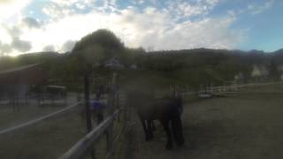 Bedekking av Håke Tine med Vertigo Bjørn