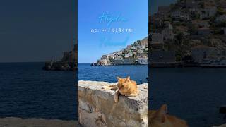 車なし、バイクなし。ねこ、ロバ、馬と一緒に暮らす島 🇬🇷