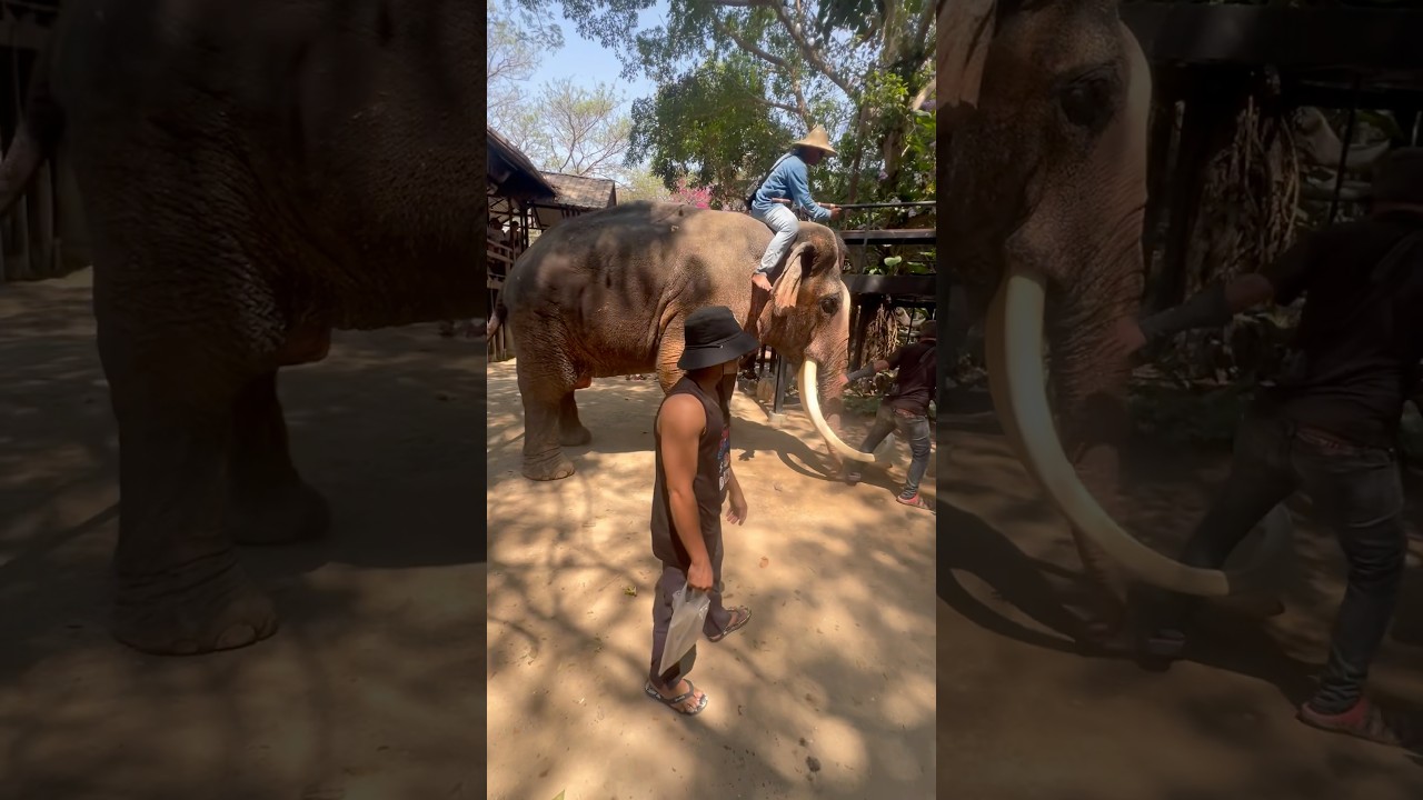 YouTube Short thumbnail