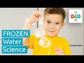 Fun Experiment With Frozen Water Kids Science AD
