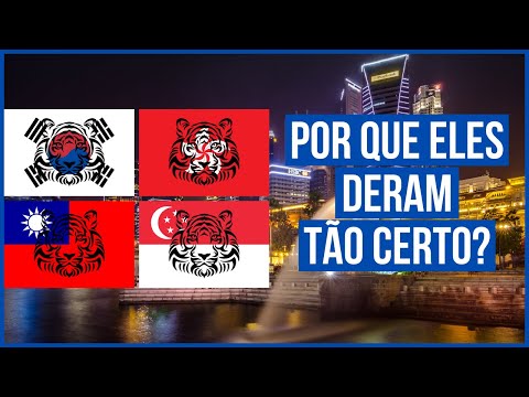 QUEM SÃO OS TIGRES ASIATICOS? [ENTENDA AGORA]