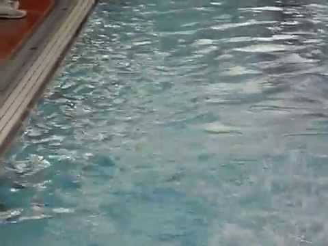 2014.10.25 Mike 50M Fly