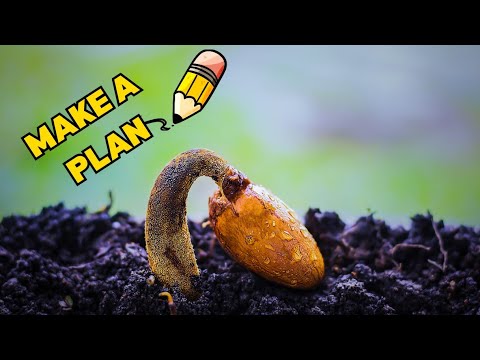 EP. 1 of 7:  Seed Starting Master Class: The Prep Phase