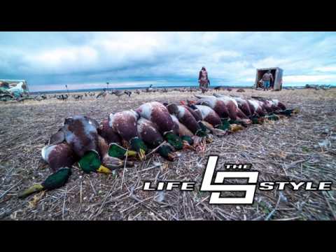 7 Man Limit of Mallards 45 minutes.